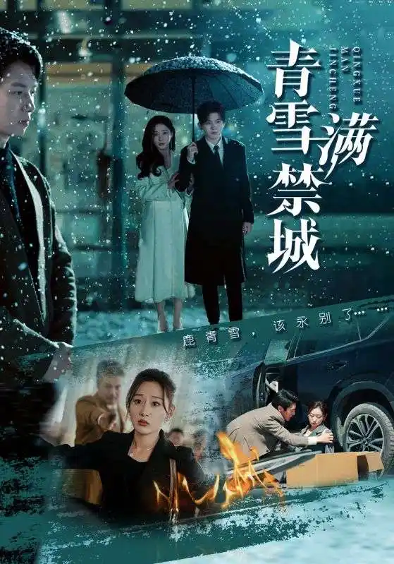 青雪满禁城 - 短剧大全短剧大全免费高清电影在线观看