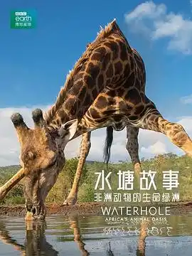 水塘故事：非洲动物的生命绿洲 - 综艺欧美综艺免费高清电影在线观看